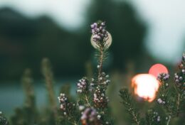 THIÊN CHÚA HIỆN HỮU NHƯNG BẠN KHÔNG PHẢI LÀ NGÀI… HÃY SỐNG KHIÊM NHƯỜNG