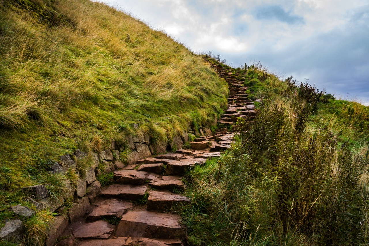 b k CbtmLOWRJx8 unsplash