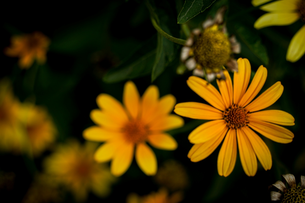 kateryna sheliuk dGFVlulYvK0 unsplash