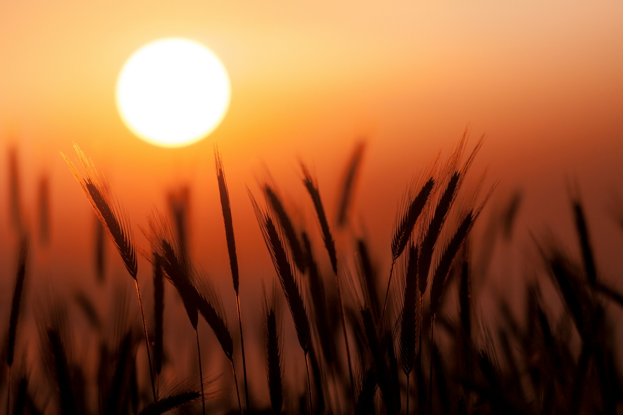 maciek sulkowski eoXoU1wpvqs unsplash