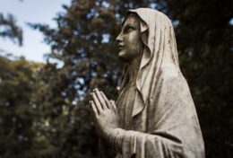 DƯỚI SỰ CHE CHỞ CỦA MẸ MARIA, KẺ THÙ KHÔNG THỂ ĐÁNH BẠI BẠN…