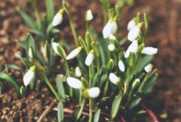 SỰ VIÊN MÃN ĐƯỢC TÌM THẤY TRONG SỰ HÀI LÒNG