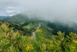 BỎ LỐI TƯ DUY “CÁI GÌ ĐẾN, SẼ ĐẾN”; HÃY CHIẾN ĐẤU CHO ĐIỀU BẠN MONG ƯỚC