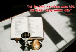 SUY NIỆM TIN MỪNG CHÚA NHẬT: CN XXI TN B – TRUNG THÀNH ĐẾN CÙNG