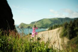 VẾT THƯƠNG TRONG TÂM HỒN CÓ THỂ LÀM BẠN CHỆCH HƯỚNG; HÃY CHỮA LÀNH TRƯỚC…