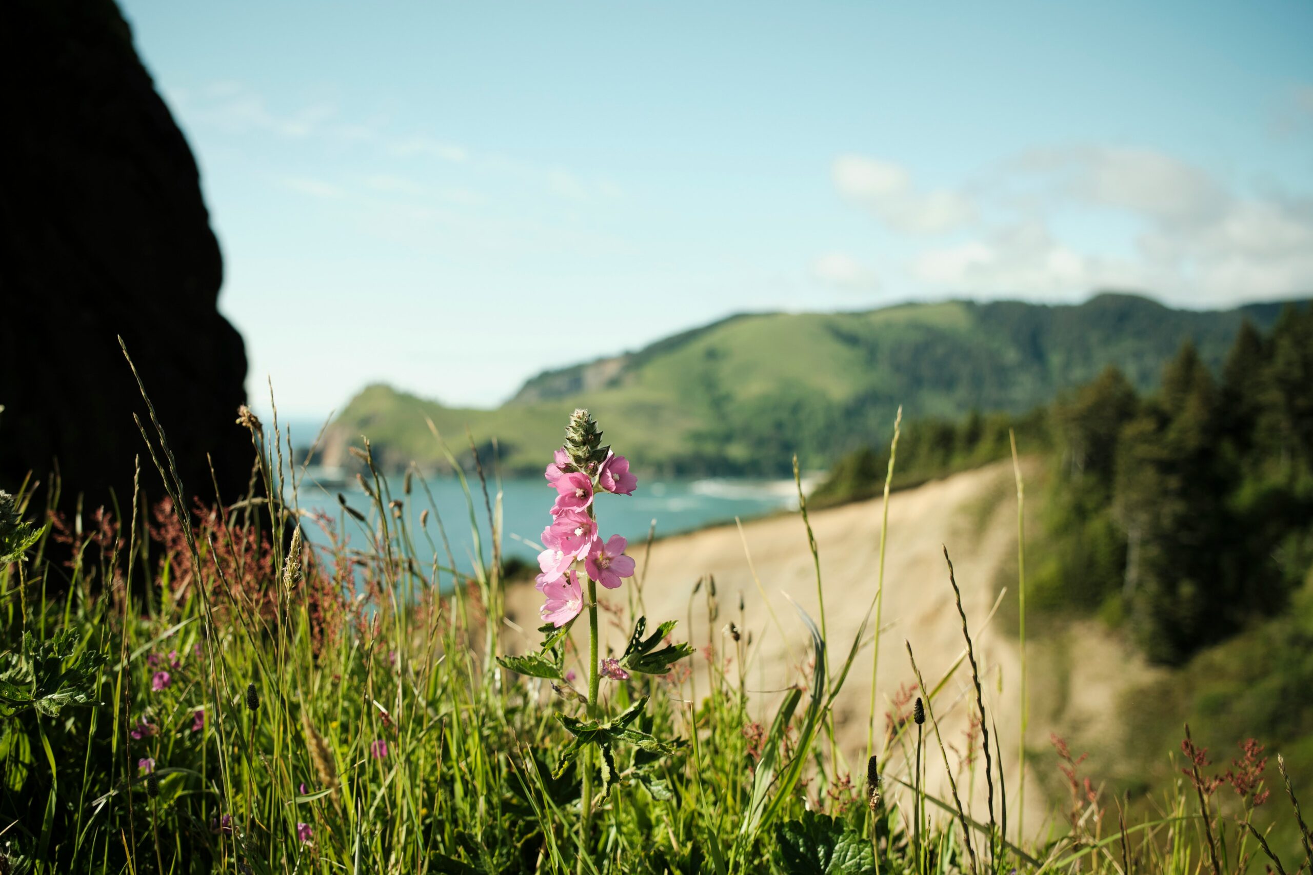 joel heaps X5erEepw4Ps unsplash scaled