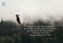 LÀ ĐẠI BÀNG, THÌ KHÔNG CẦN BẬN TÂM TỚI CHUYỆN CỦA CHIM SẺ