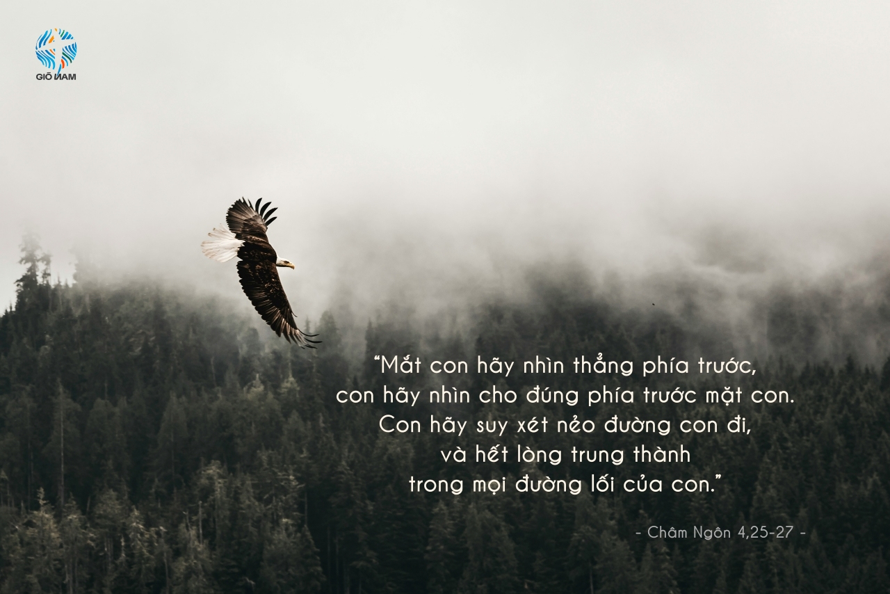 kea mowat fM2aOezzEoQ unsplash 1