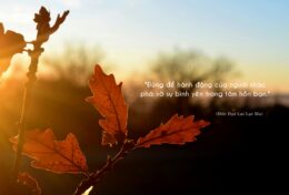 KIỂM SOÁT CƠN GIẬN CỦA BẠN; CHỈ MỘT CHỮ LÀM NÊN SỰ KHÁC BIỆT GIỮA “ANGER” (GIẬN DỮ) VÀ “DANGER” (NGUY HIỂM)