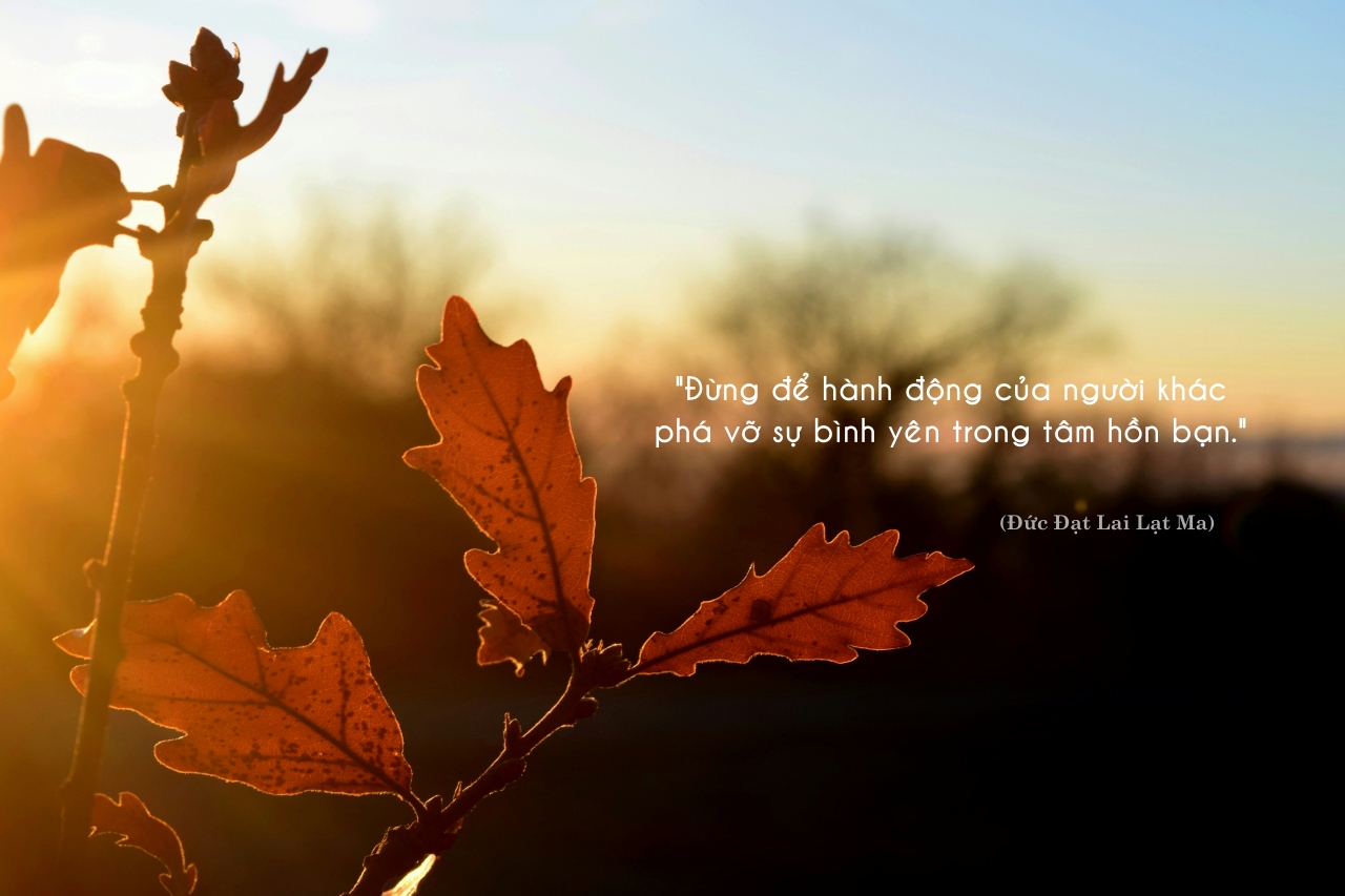 mathilde gregoire 1s K nRi4no unsplash