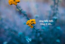 CÀNG HIỂU BIẾT, CÀNG ÍT NÓI