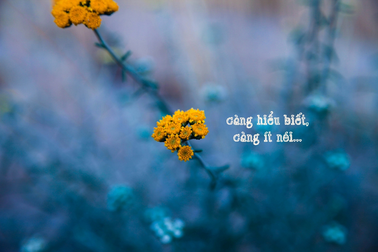 mohammad asadi 1pLHzl1CW E unsplash