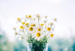 KHÔNG PHẢI MỌI THỨ ĐỀU ĐÁNG ĐỂ SỬA CHỮA; HÃY BƯỚC TIẾP