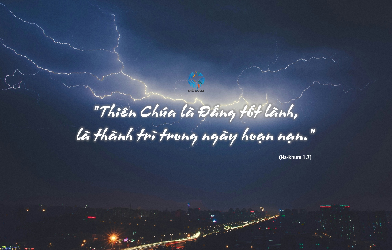 tao yuan mnXt81sG68E unsplash