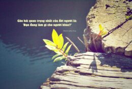 HÃY DÀNH CUỘC ĐỜI CHO NHỮNG GÌ SẼ TRƯỜNG TỒN…