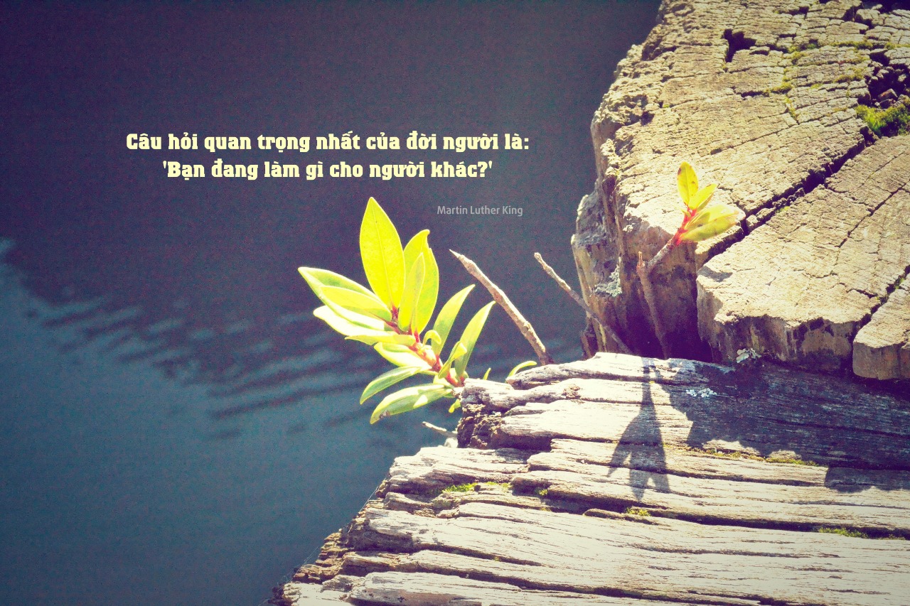 tyler wanlass akbHiqZy4Pg unsplash