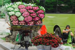 ĐỪNG TIN VÀO LỜI NÓI, HÃY TIN VÀO HÀNH ĐỘNG