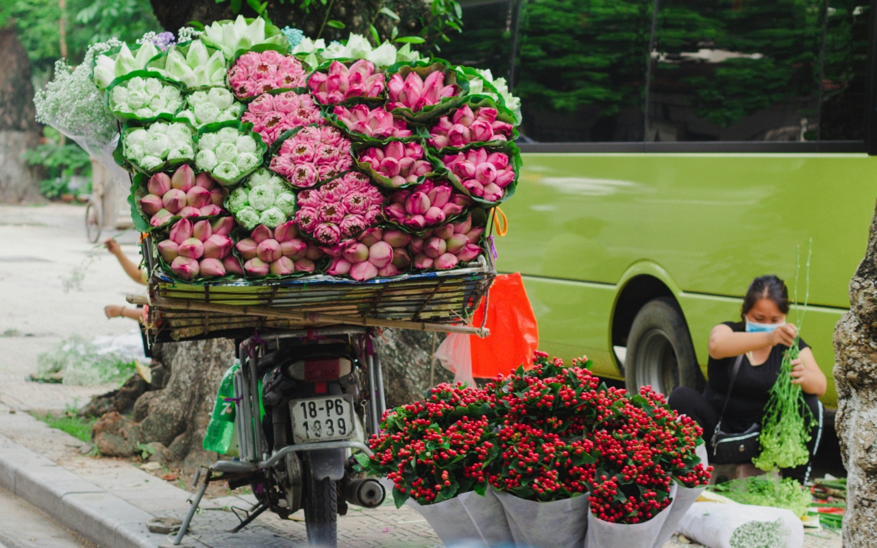 huyen pham IBZbJNITStw unsplash