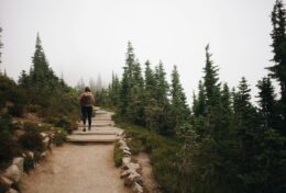 ĐÂY LÀ CON ĐƯỜNG CỦA BẠN, CHỈ RIÊNG BẠN…