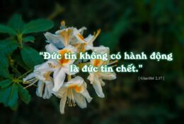 HÀNH ĐỘNG THAY ĐỔI CÒN QUÝ HƠN MỘT LỜI XIN LỖI TRỐNG RỖNG