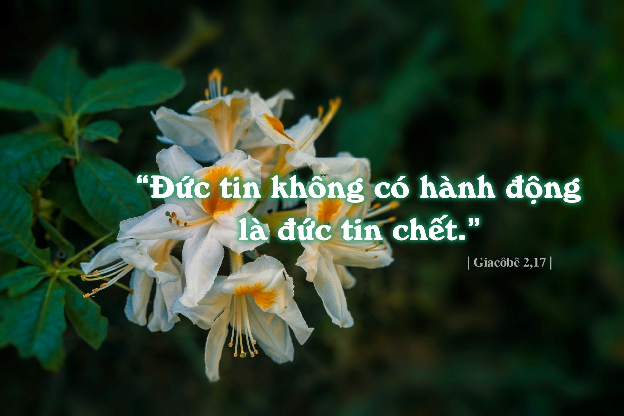 martin martz sNCgLk7ARBo unsplash