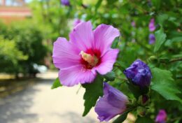 THIÊN CHÚA SẴN SÀNG CHỮA LÀNH, NHƯNG BẠN CÓ SẴN SÀNG THAY ĐỔI KHÔNG?