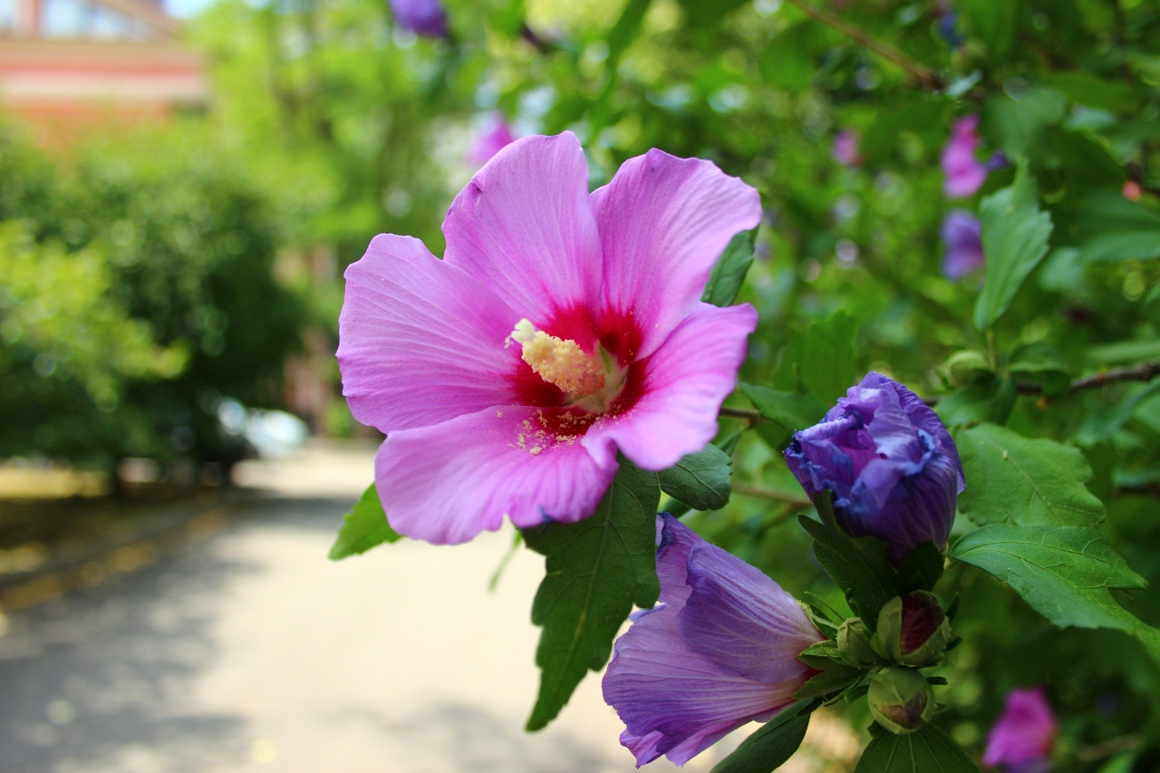 michael kater jeqBgNml290 unsplash