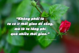 ĐỪNG CHUẨN BỊ ĐỂ SỐNG; HÃY SỐNG NGAY BÂY GIỜ…