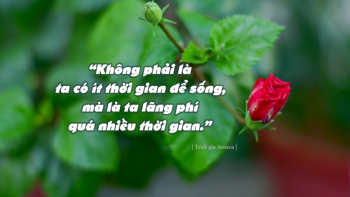 neelakshi singh JECtaF9k3jQ unsplash 1