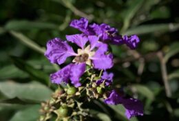 HÃY CÓ SỰ THẤU CẢM, KHÔNG CHỈ LÀ SỰ THƯƠNG CẢM