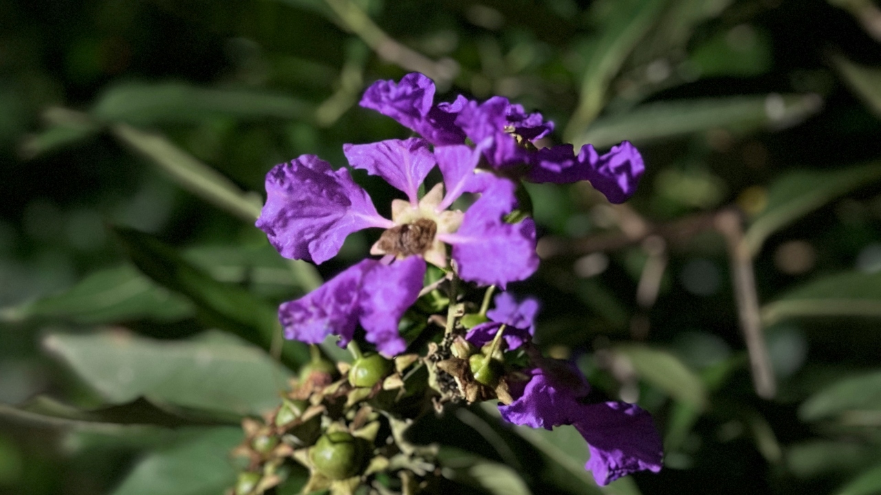 neha dagar kC0FLug8NA unsplash