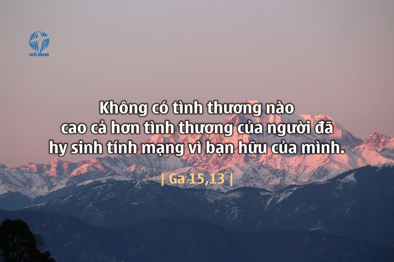 parth savani uCuZ9kscyuc unsplash