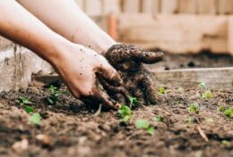 GIEO GÌ, GẶT NẤY…