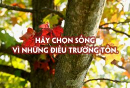 ĐỪNG SỐNG ĐỂ LÀM HÀI LÒNG NGƯỜI ĐỜI; CON NGƯỜI RẤT NHANH QUÊN KẺ ĐÃ KHUẤT…