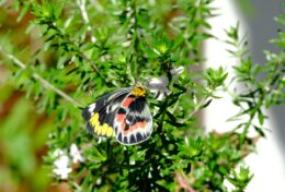 GIẢM BỚT KIÊU HÃNH; NGƯỜI TA VẪN CÓ THỂ SỐNG MÀ KHÔNG CẦN ĐẾN BẠN