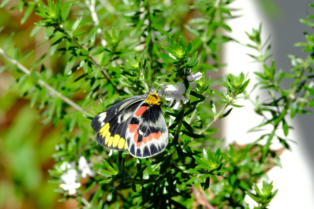 walter coppola SVWNQM7494g unsplash