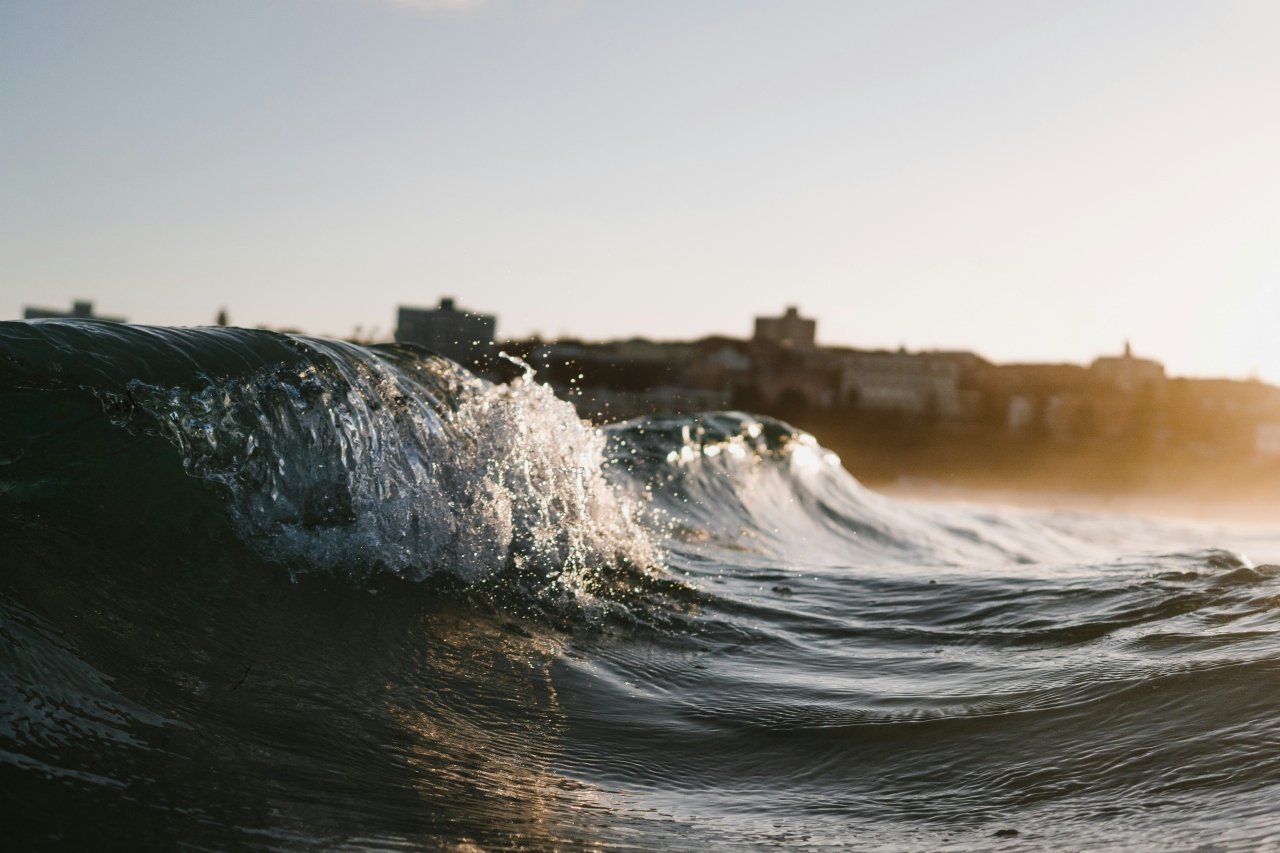 matt hardy 4iwrbmrc0l8 unsplash