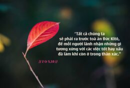 TRƯỚC CÁI CHẾT, CHÚNG TA ĐỨNG MỘT MÌNH…