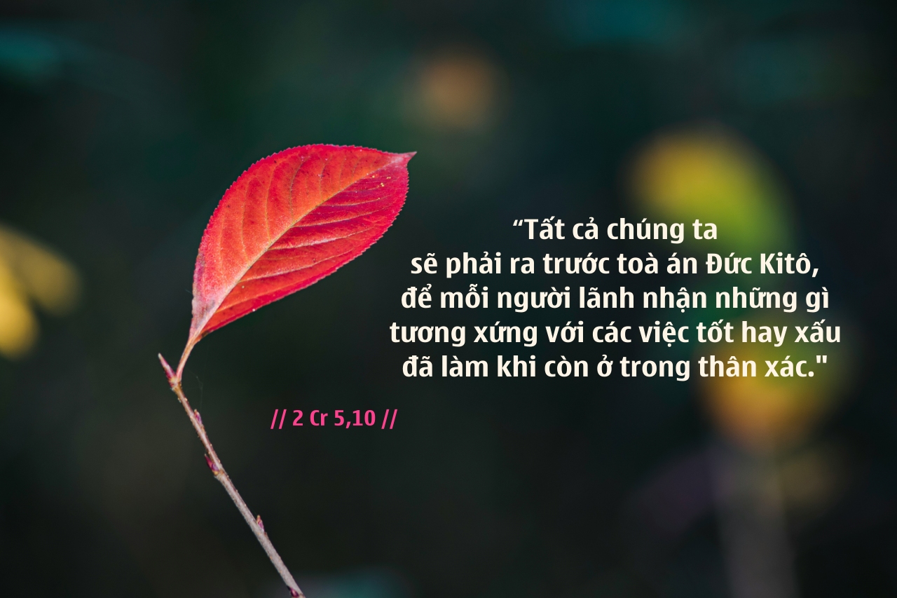 olli kilpi P ekwlcSvUc unsplash