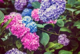 ĐỪNG CHỈ VÌ NHỮNG GÌ BẠN THẤY TRƯỚC MẮT MÀ LÃNG QUÊN ĐI NHỮNG GÌ THIÊN CHÚA ĐÃ PHÁN HỨA…