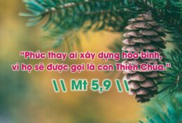 NHƯ ĐỨC KITÔ, HÃY LÀ LÝ DO ĐỂ AI ĐÓ TẠ ƠN CHÚA TRONG MÙA GIÁNG SINH NÀY