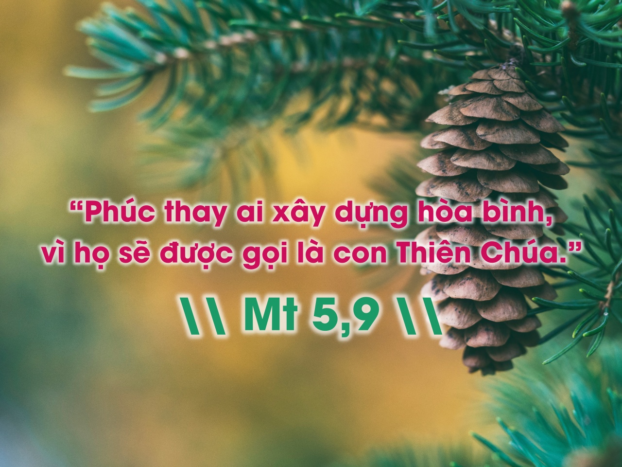 aaron burden gTnhYYQ5Zk0 unsplash 1