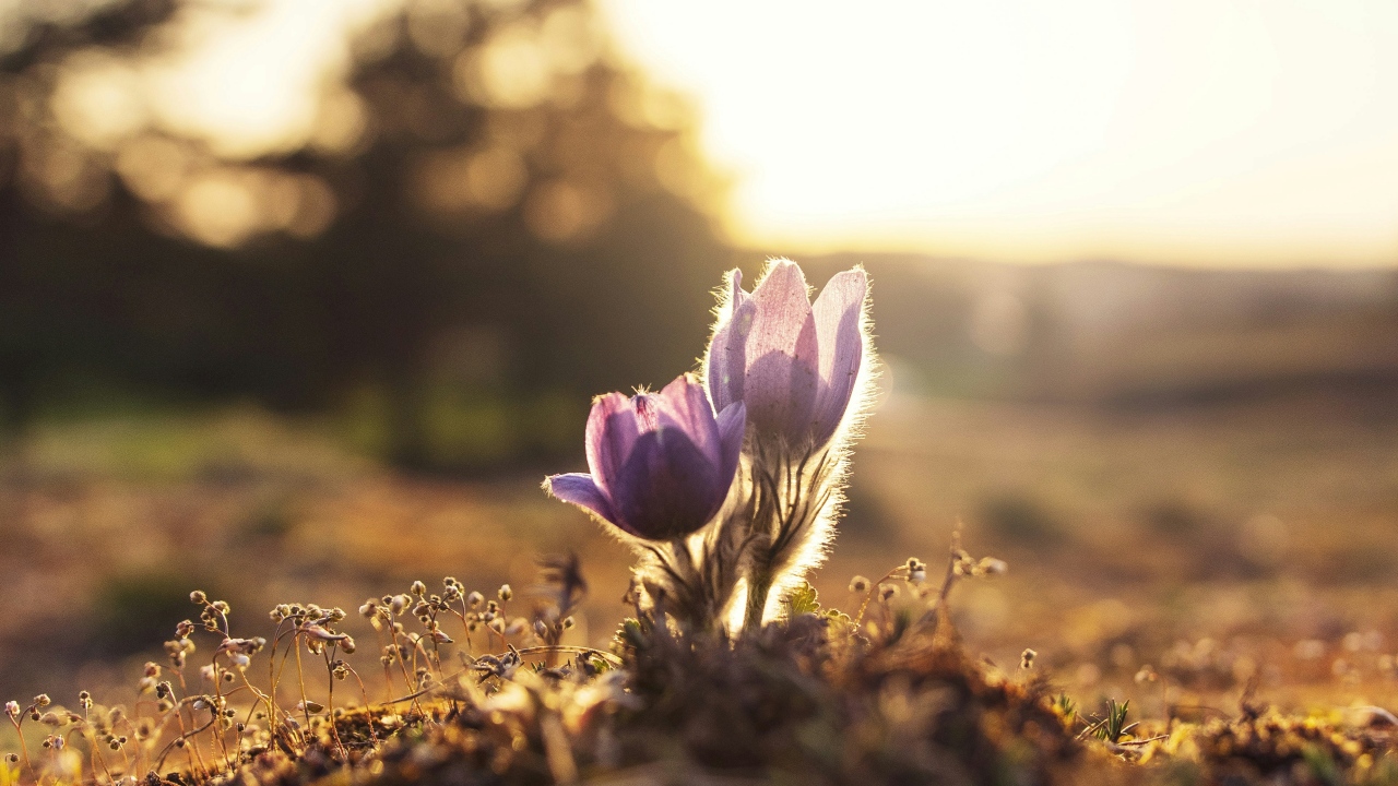 ales maze uXvUpHY5o 4 unsplash