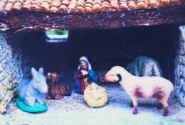 NGÀI ĐẾN, KHÔNG TRONG VINH HOA, MÀ TRONG KHIÊM NHƯỜNG… HÃY MỪNG LỄ VỚI NHỮNG GÌ BẠN CÓ…