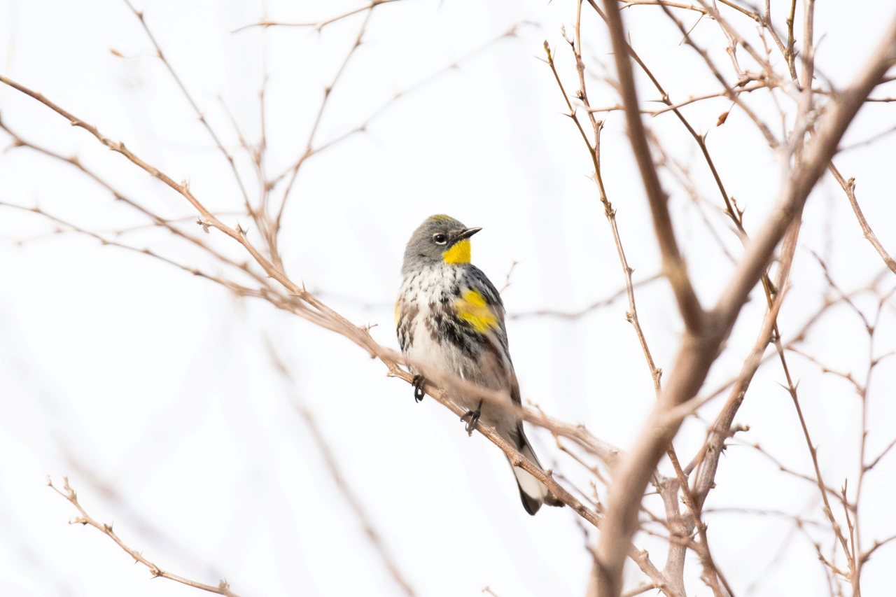 jessica kirkpatrick qHkgHdjZlTI unsplash