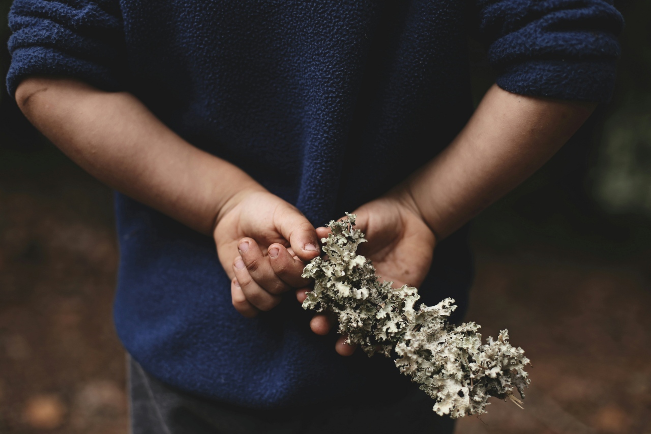 ksenia makagonova aUbVm 0GLM4 unsplash