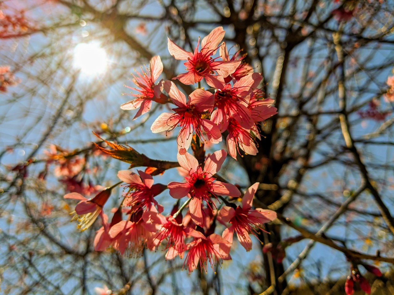phanh mh EFcQk730UW4 unsplash