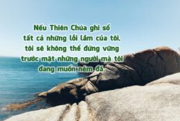 HỌ ĐẾN VỚI NHỮNG VIÊN ĐÁ, KHÔNG PHẢI VỚI LÒNG THƯƠNG XÓT…