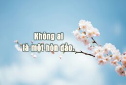 NỖI ĐAU CỦA ANH EM  KHÔNG PHẢI LÀ LỢI LỘC CỦA TÔI
