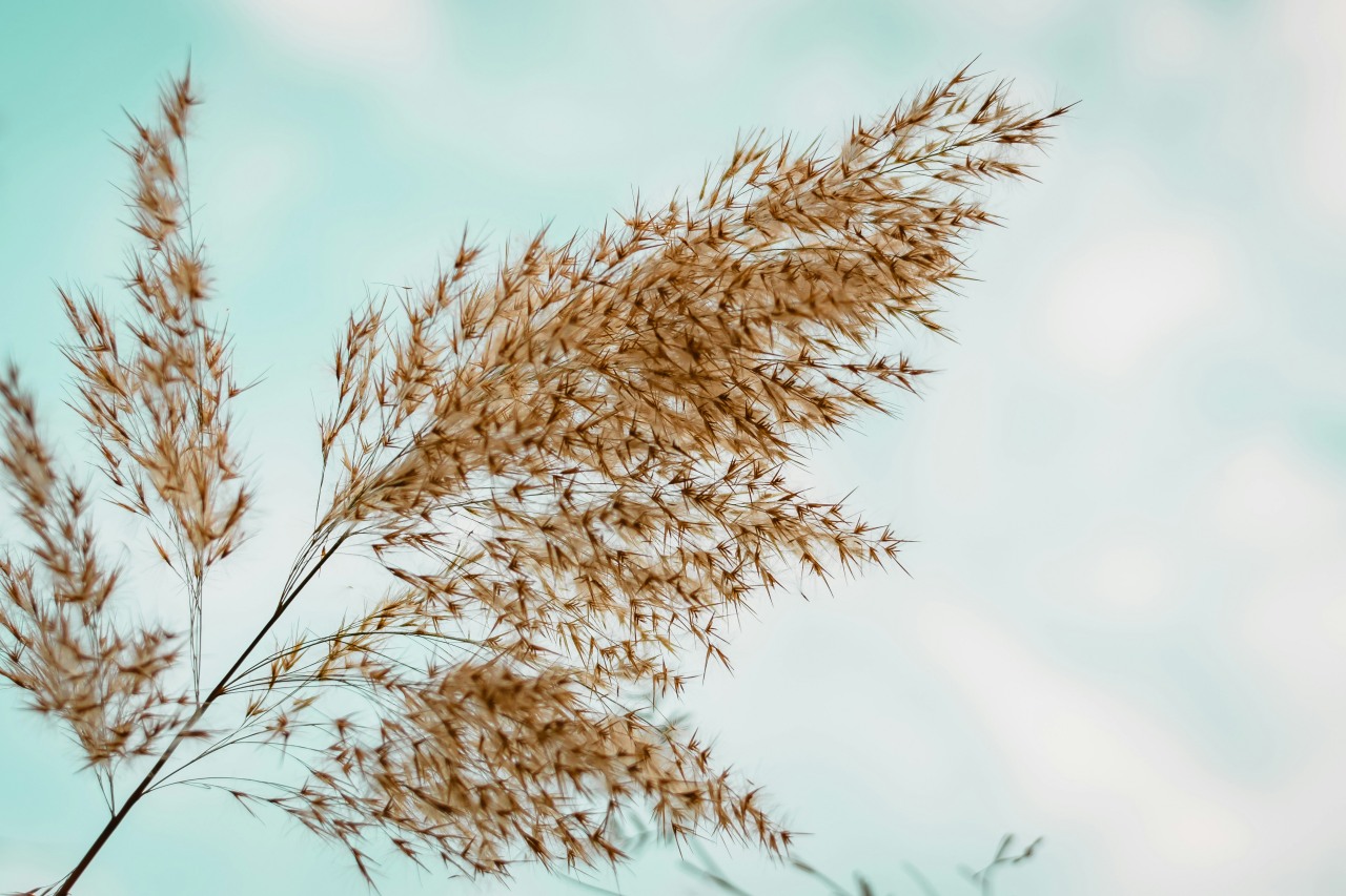 ashkan forouzani W86 EOWBNZk unsplash